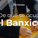¿Cuál es la función de Banxico en el Sistema Financiero?