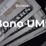 Bonos UMS